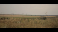 Видеопортрет