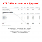 CTR 20% - на поиске в Директе!