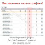 Максимально чистый целевой трафик!