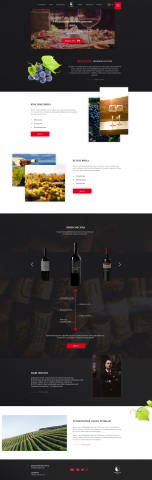 Грузинские вина, Landing Page