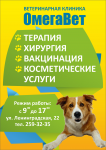 Работа 2721160