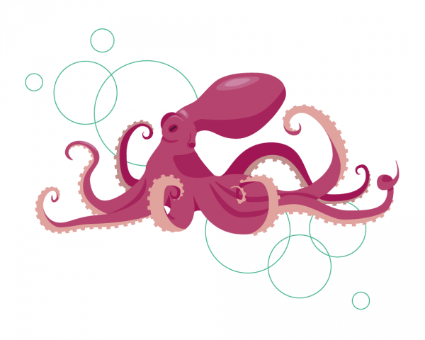 Octopus