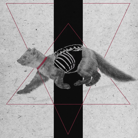 Cut the Sable
