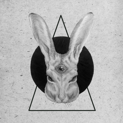 Three eyed Rabbit