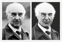 Портрет в векторе