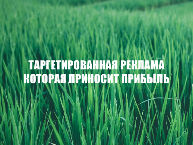 Таргет 100%