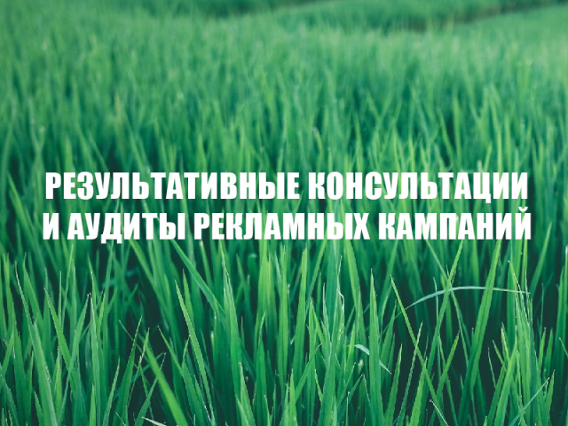 Аудит РК и консультации
