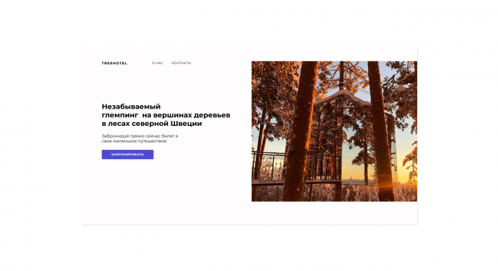 TREEHOTEL