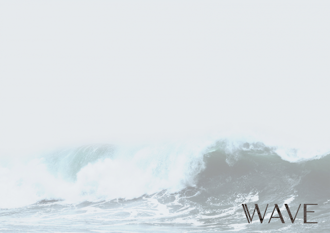 Разработка бренда WAVE