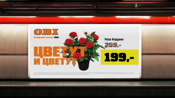Работа 3869871