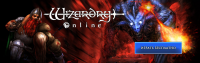 Брендирование Wizadry Online