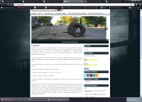 проект общественного движения Безям Орловщина