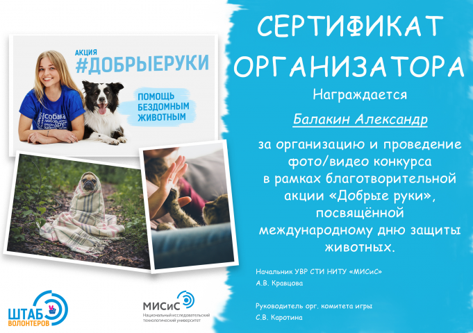Грамоты организаторам акции
