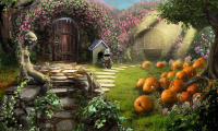 Cottage Garden