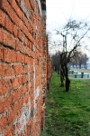 Wall