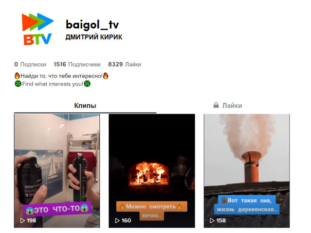 Ведение личного TikTok профиля (1.5 тыс. подписчиков).