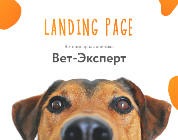 Лендинг для вет-клиники
