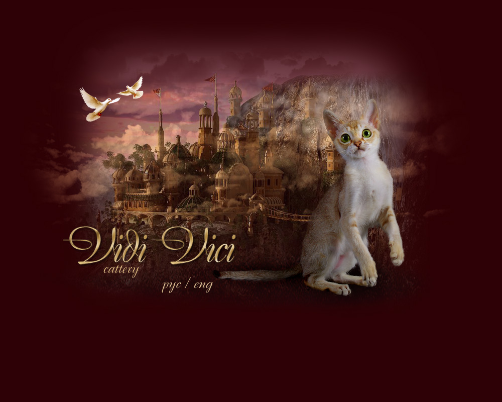 обл-красная copy.jpg