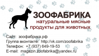 Дизайн сайта и сопутствующей визитки