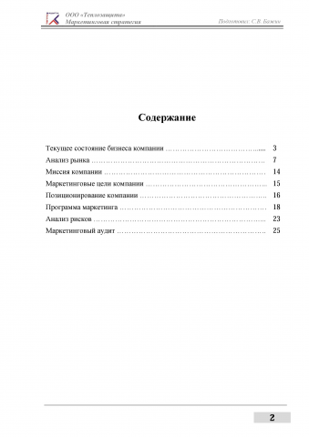 Маркетинговая стратегия инжиниринговой компании "Теплозащита"