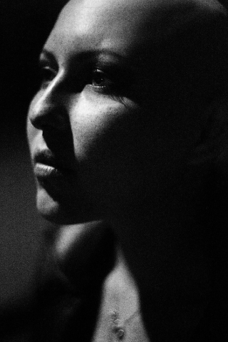 Работа 3175010