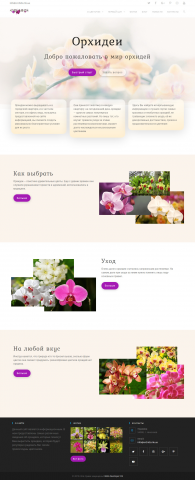Об орхидеях | orchids.mk.ua
