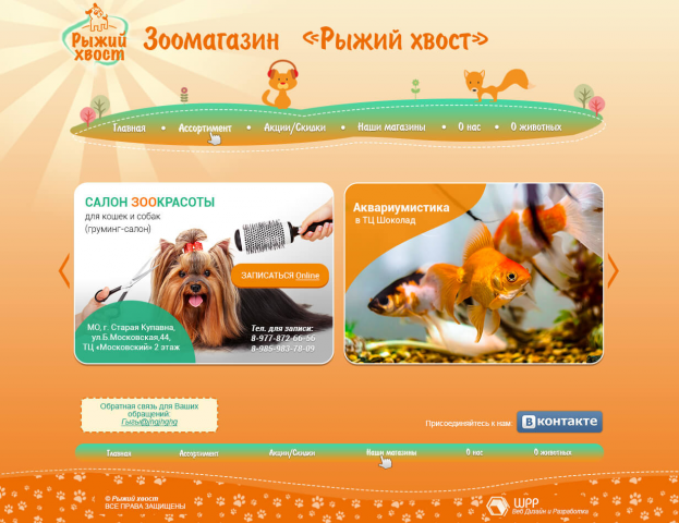 Сайт зоомагазина Рыжий хвост с каталогом. Товары для животных