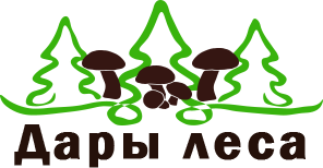 Логотип для сайта продажи грибов