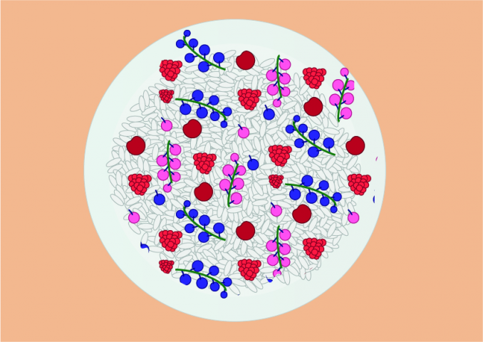 Паттерн ягоды на тарелке
