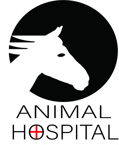 AnimalHospital