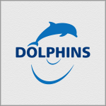 Dolphins (конкурс)
