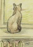 Кошка на окошке