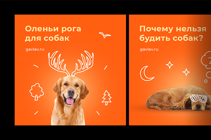 9 баннеров для зоомагазина
