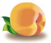 3D