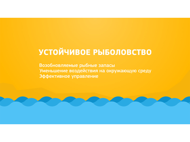 Жизнь под водой