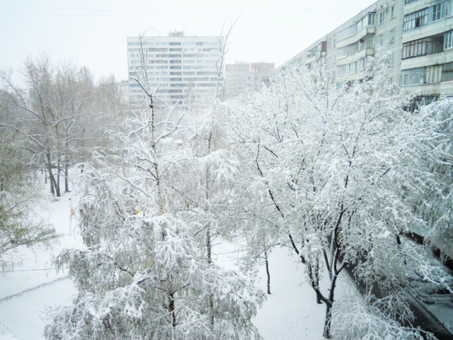 майский снегопад