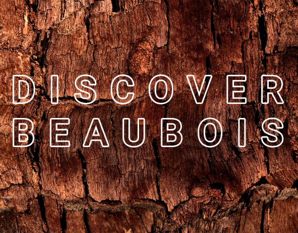 BEAUBOIS Russian localization and adaptive