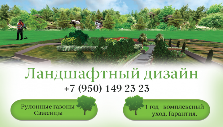 визитка