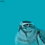 Работа 3002946