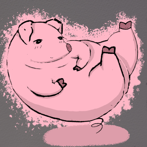 piggy
