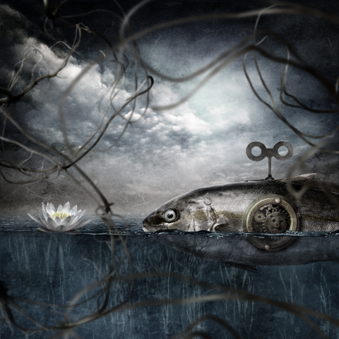 Fish Chaos Theory