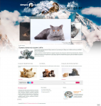 Общество Любителей кошек ИРБИС – ККОООЛК «ИРБИС»