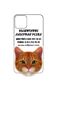 Работа 3968353