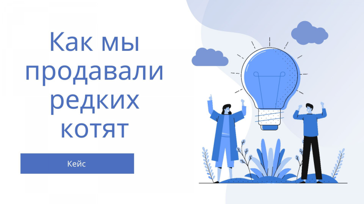 Продаже редких котов Мейн-кун