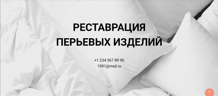 Чистка перьевых изделий