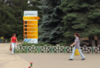 Работа 3111189