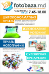 Работа 3111194