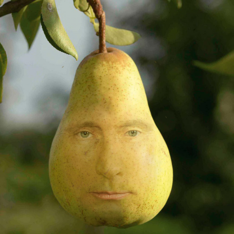 Груша " Путинка "