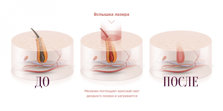 Инфографика для салона красоты