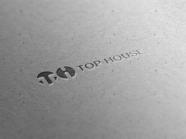 Вариант логотипа ТН